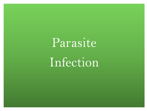 Parasite infection treatment